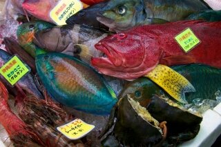A selection of fish in Okinawa