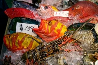 Fish in Okinawa Makishi Market