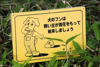 poster-dog-waste-11