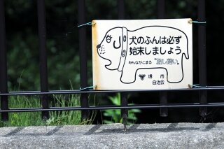 poster-dog-waste-54